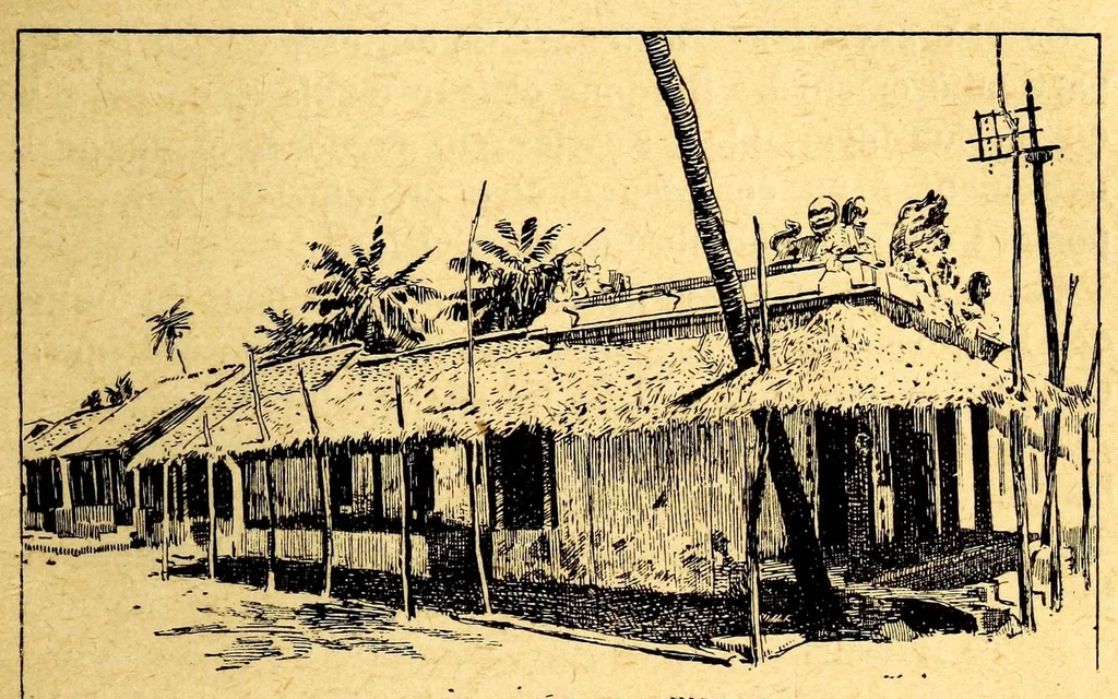 An illustration from Les colonies françaises;, 1889, leaf 397