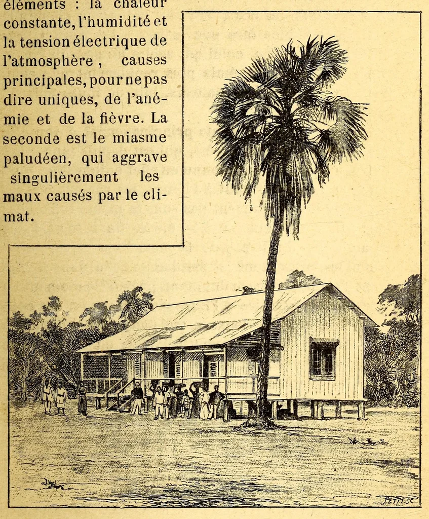 An illustration from Les colonies françaises;, 1889, leaf 123