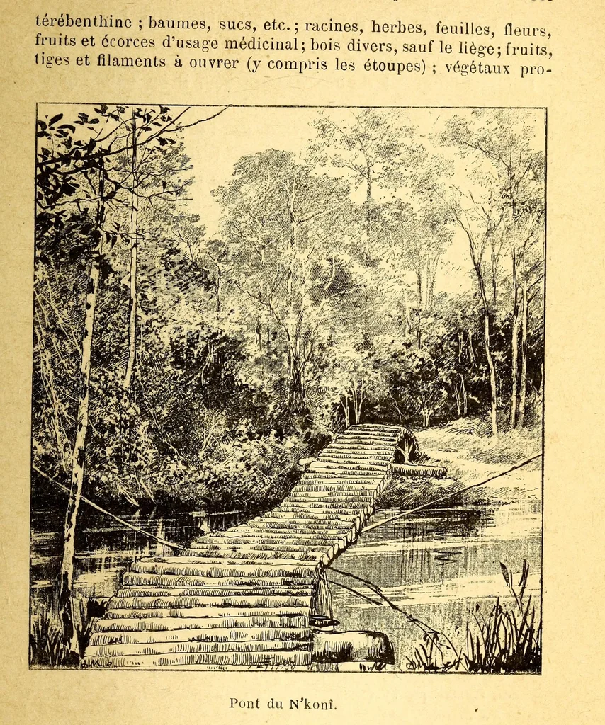 An illustration from Les colonies françaises;, 1889, leaf 151