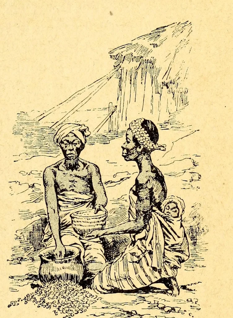An illustration from Les colonies françaises;, 1889, leaf 237