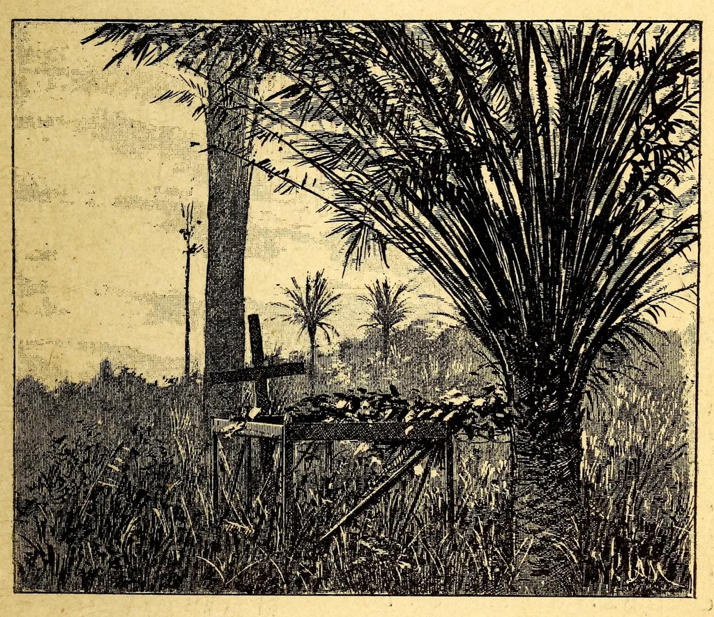 An illustration from Les colonies françaises;, 1889, leaf 91