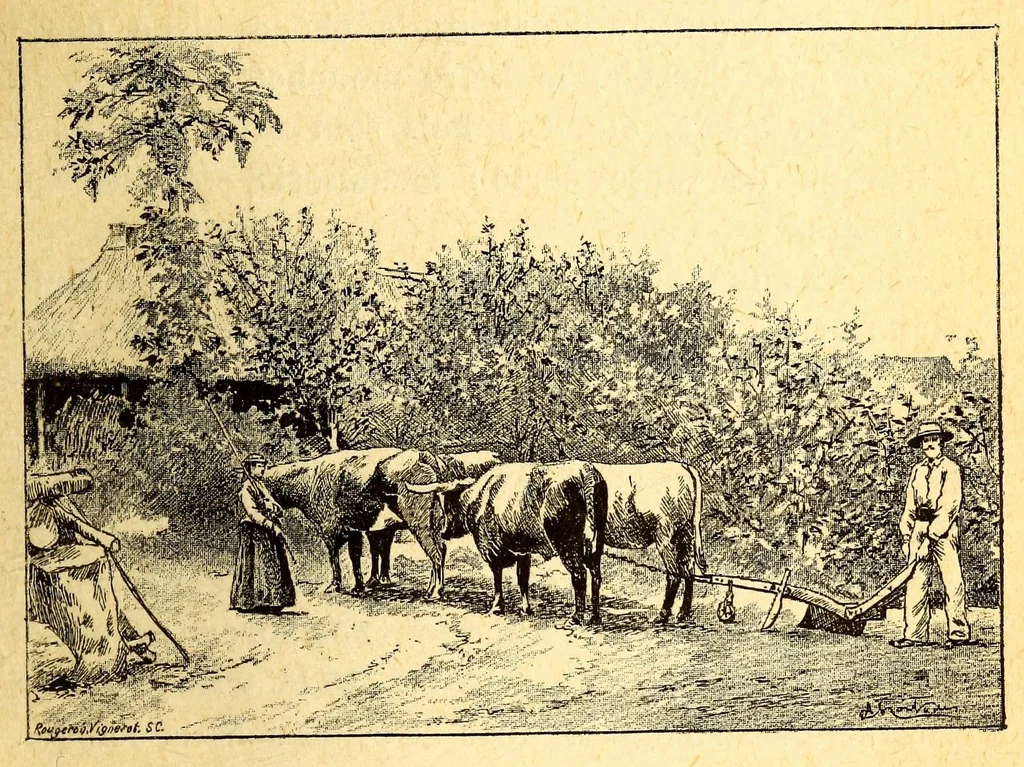 An illustration from Les colonies françaises;, 1889, leaf 191