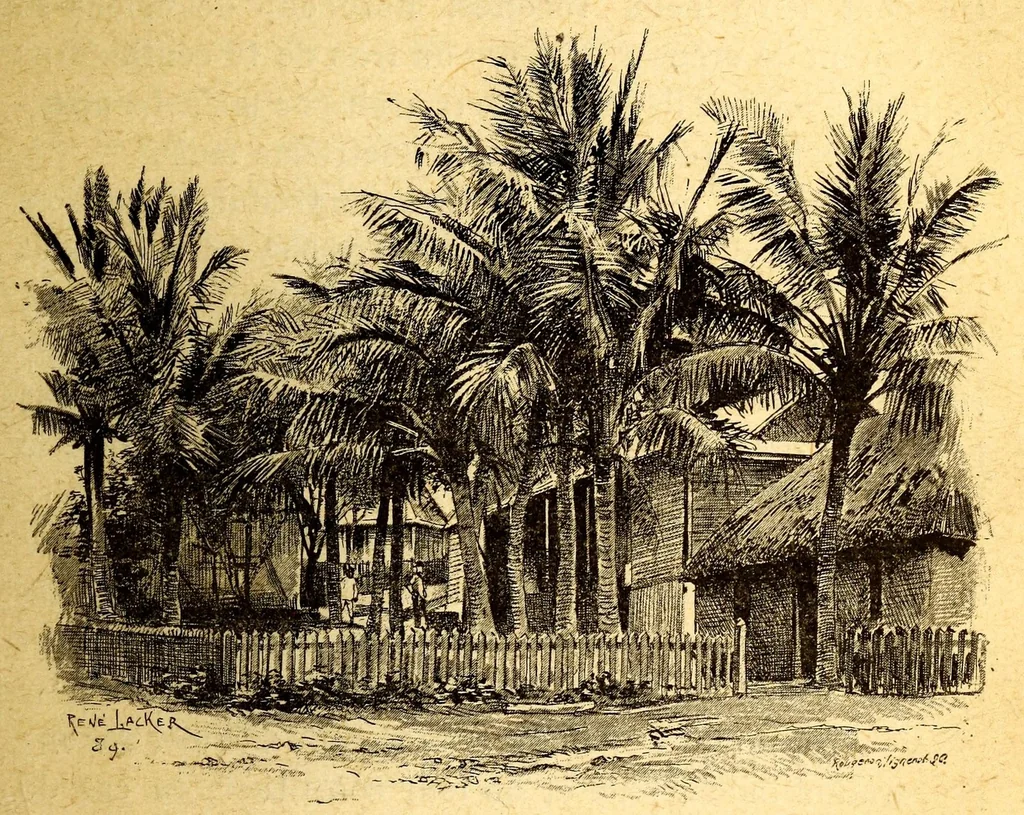 An illustration from Les colonies françaises;, 1889, leaf 211