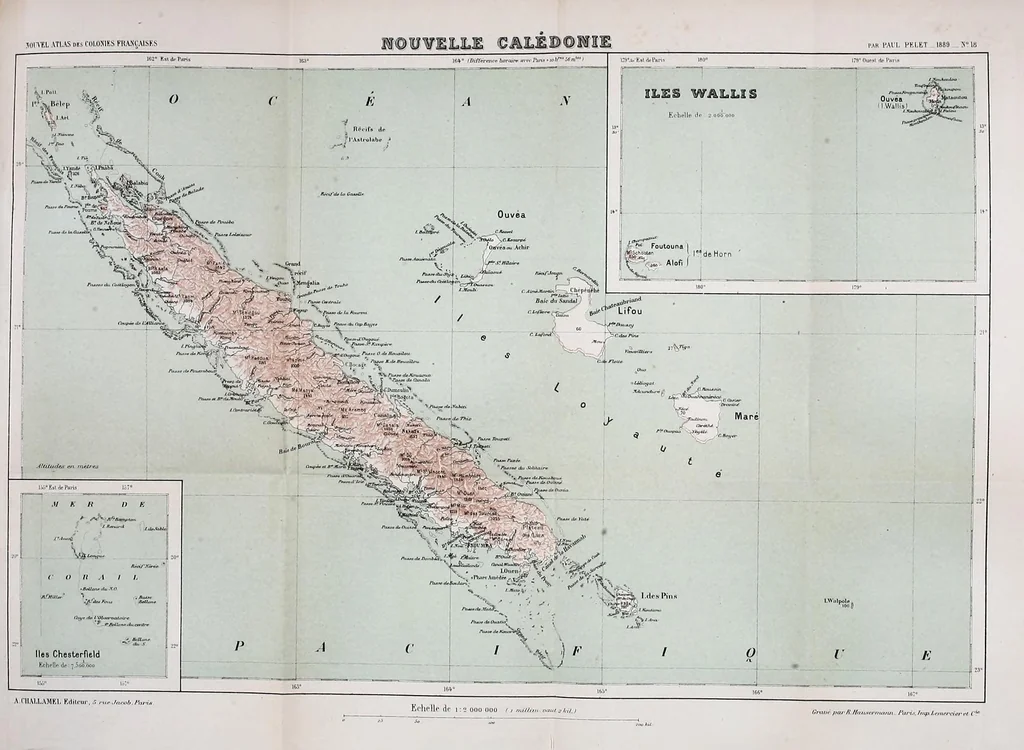 An illustration from Les colonies françaises;, 1889, leaf 249