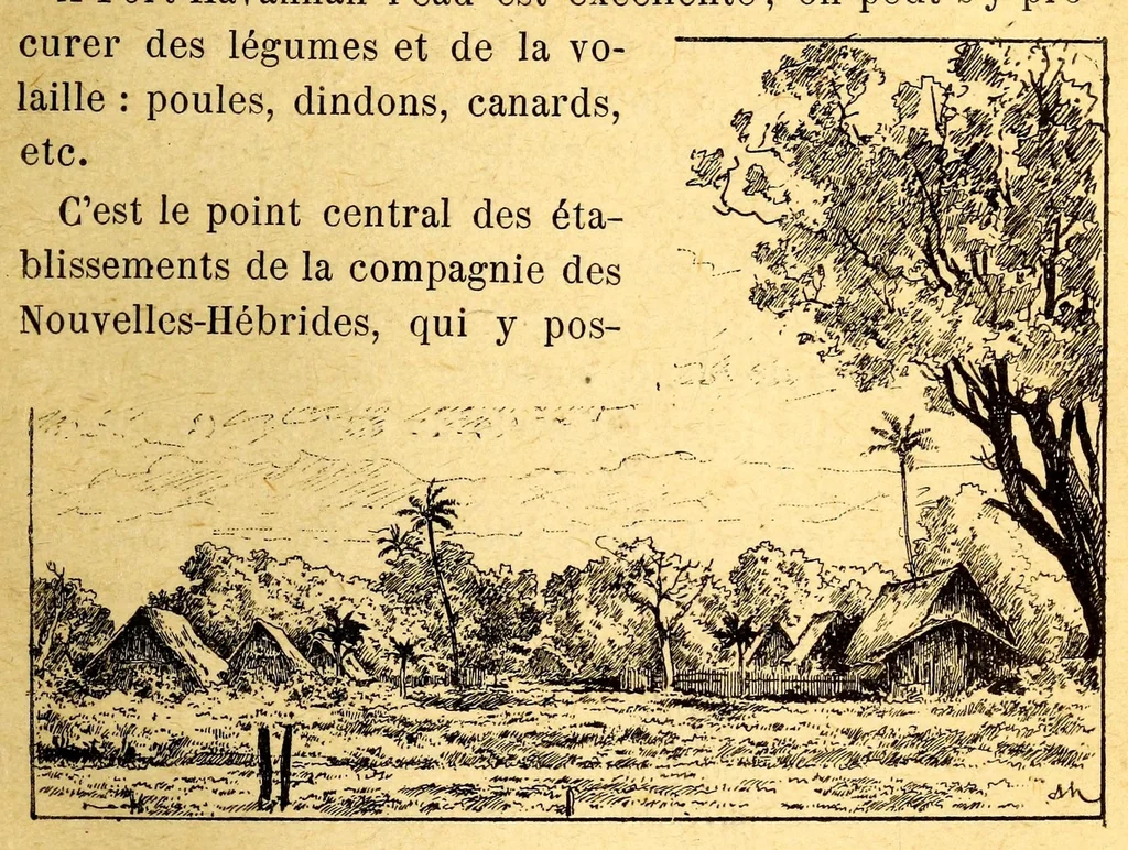 An illustration from Les colonies françaises;, 1889, leaf 311