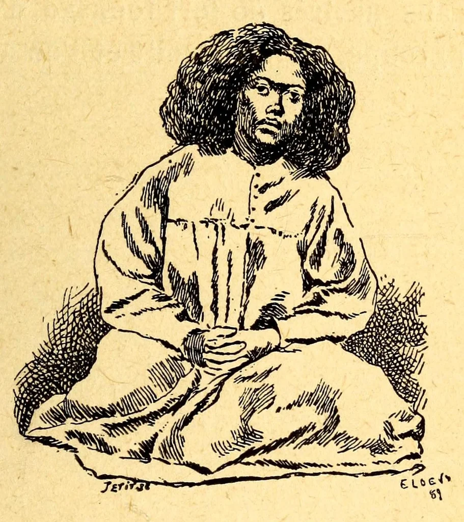 An illustration from Les colonies françaises;, 1889, leaf 351