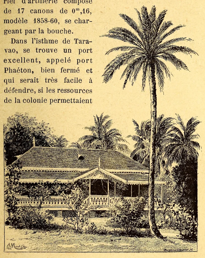An illustration from Les colonies françaises;, 1889, leaf 45