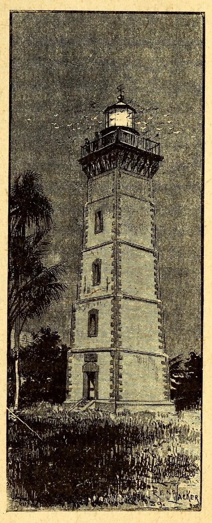 An illustration from Les colonies françaises;, 1889, leaf 71