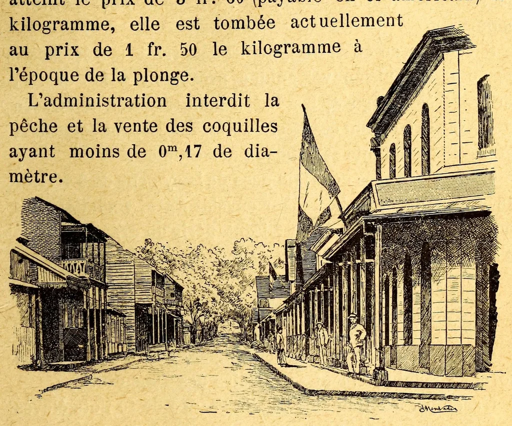 An illustration from Les colonies françaises;, 1889, leaf 95
