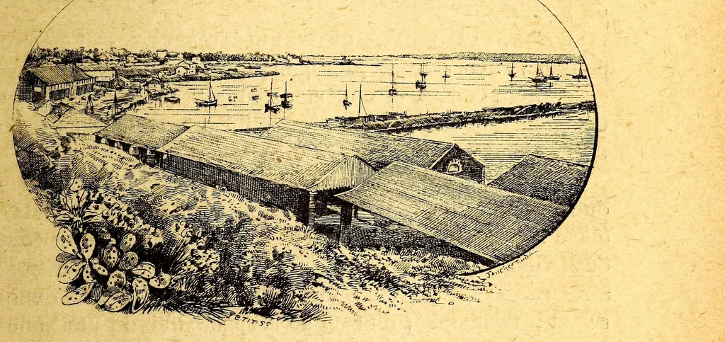 An illustration from Les colonies françaises;, 1889, leaf 155