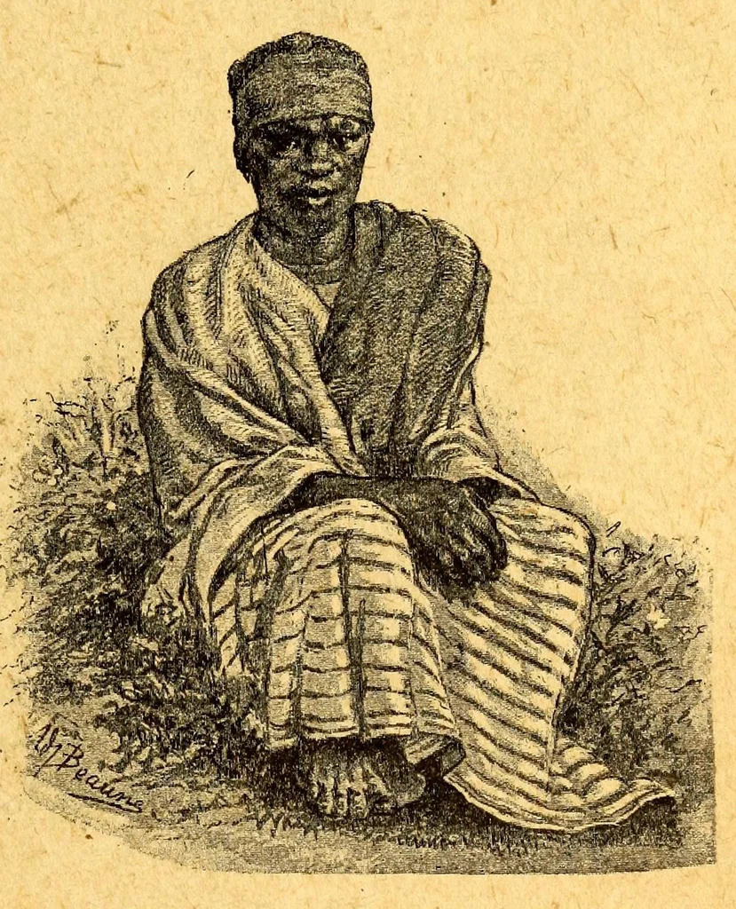 An illustration from Les colonies françaises;, 1889, leaf 21