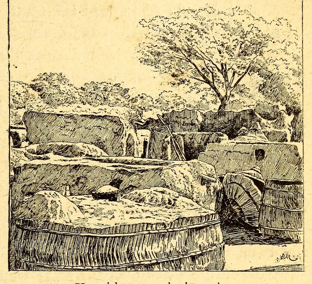 An illustration from Les colonies françaises;, 1889, leaf 215