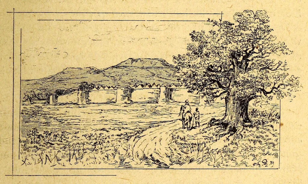 An illustration from Les colonies françaises;, 1889, leaf 323