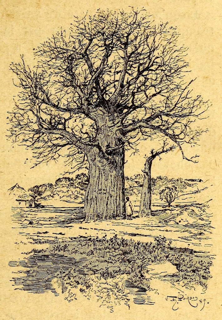 An illustration from Les colonies françaises;, 1889, leaf 43
