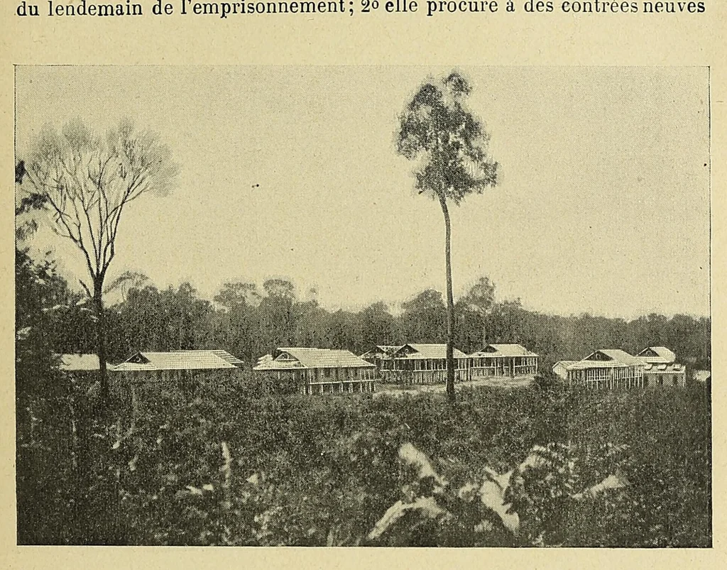 An illustration from Les colonies francaises; petite encyclopédie coloniale publiée sous la direction de M. MaximePetit;, 1902, leaf 117