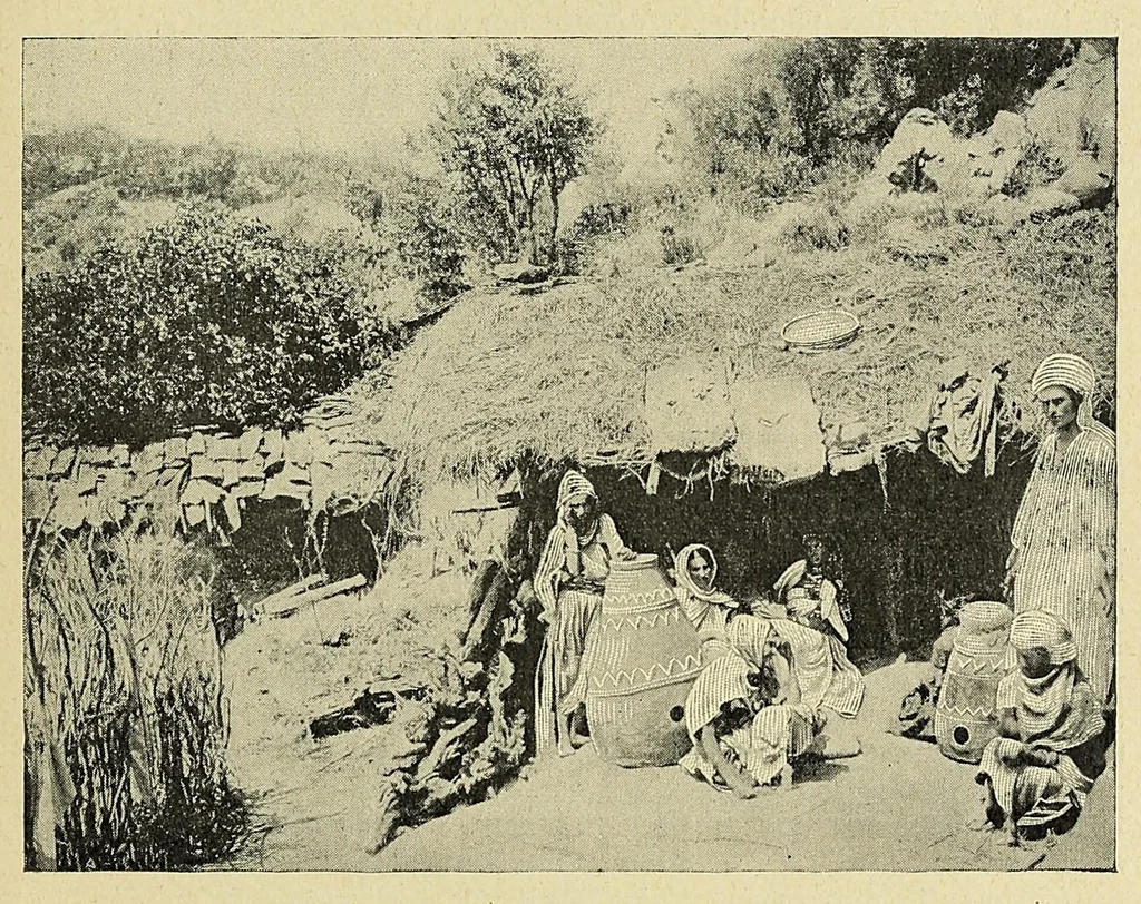An illustration from Les colonies francaises; petite encyclopédie coloniale publiée sous la direction de M. MaximePetit;, 1902, leaf 223