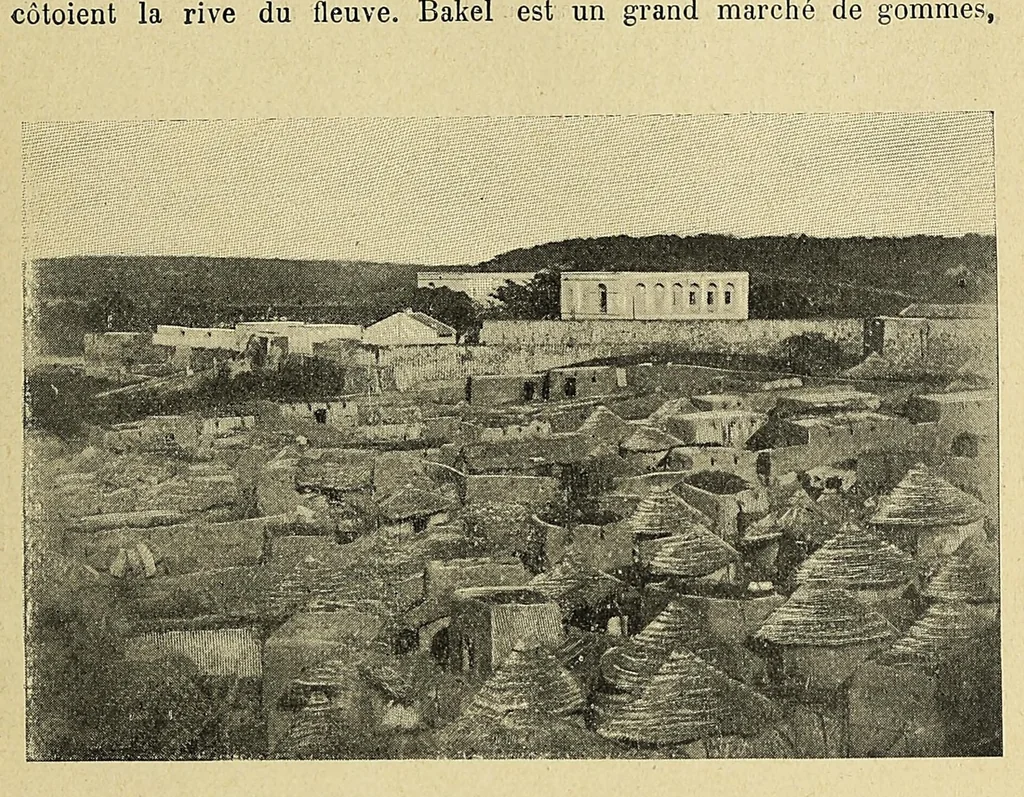 An illustration from Les colonies francaises; petite encyclopédie coloniale publiée sous la direction de M. MaximePetit;, 1902, leaf 669