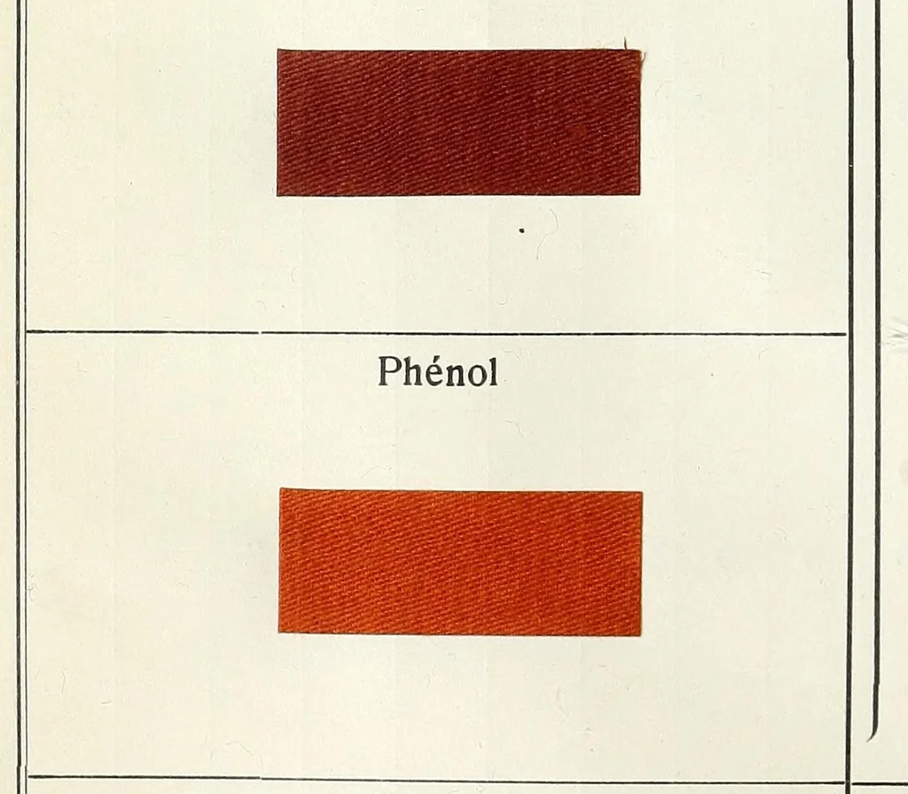 An illustration from Les colorants pour coton, 1900, leaf 54