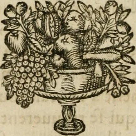 An illustration from Les commentaires de Cesar, 1652, leaf 217