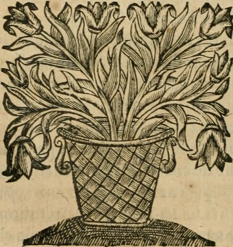 An illustration from Les commentaires de Cesar, 1652, leaf 307