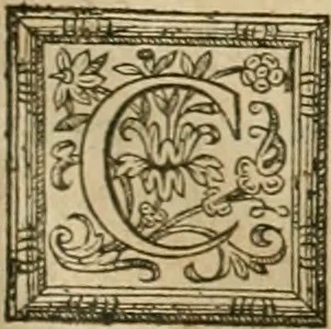 An illustration from Les commentaires de Cesar, 1652, leaf 308