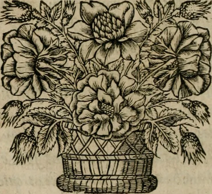 An illustration from Les commentaires de Cesar, 1652, leaf 31