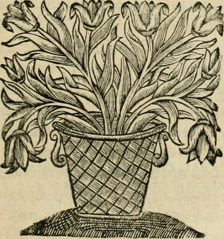 An illustration from Les commentaires de Cesar, 1652, leaf 338