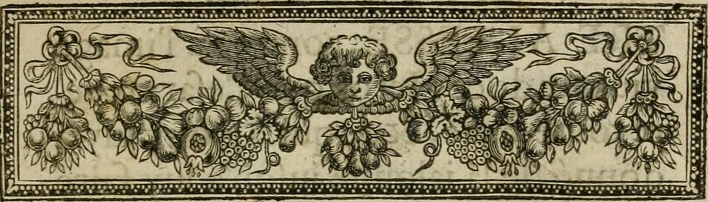 An illustration from Les commentaires de Cesar, 1652, leaf 4