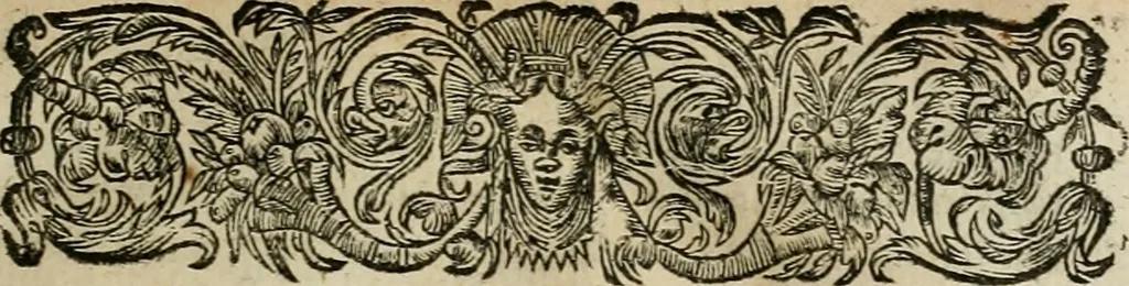 An illustration from Les commentaires de Cesar, 1652, leaf 58