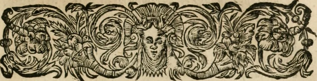 An illustration from Les commentaires de Cesar, 1652, leaf 778