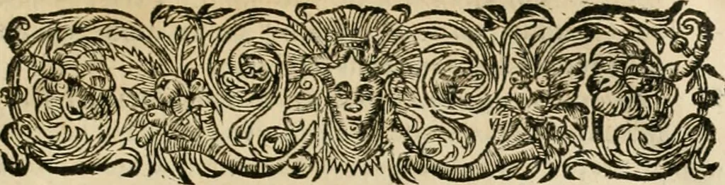 An illustration from Les commentaires de Cesar, 1652, leaf 804