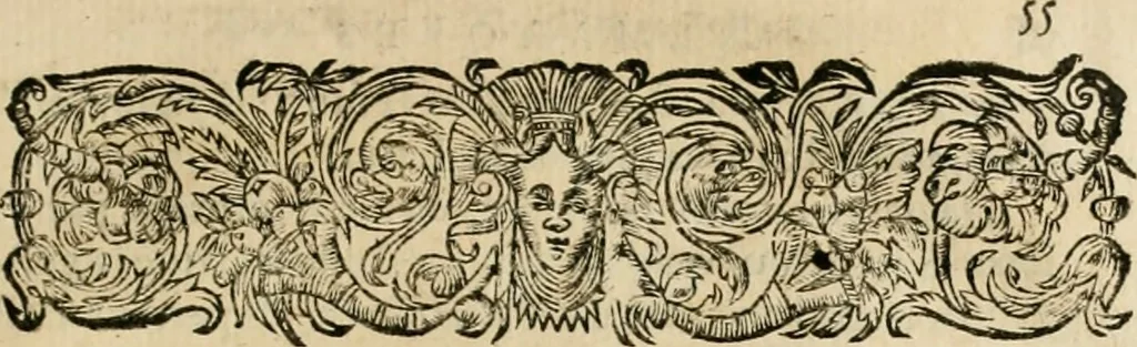 An illustration from Les commentaires de Cesar, 1652, leaf 832