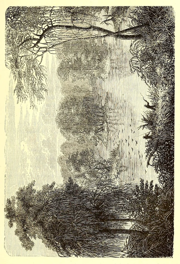 An illustration from Les contrées mystérieuses et les peuples inconnus, 1884, leaf 483