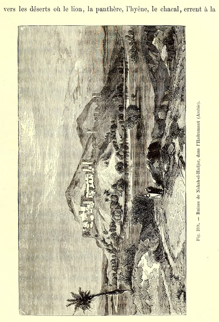 An illustration from Les contrées mystérieuses et les peuples inconnus, 1884, leaf 641
