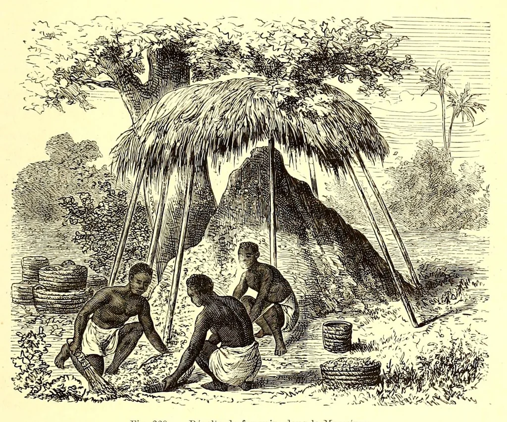 An illustration from Les contrées mystérieuses et les peuples inconnus, 1884, leaf 775