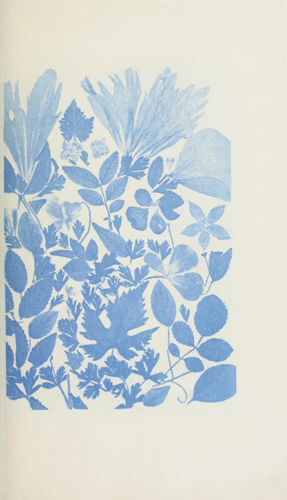 An illustration from Les couleurs en photographie : causerie, 1871, leaf 23