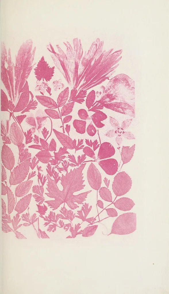 An illustration from Les couleurs en photographie : causerie, 1871, leaf 25