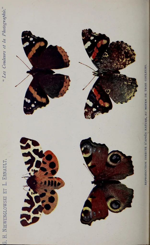 An illustration from Les couleurs et la photographie : reproduction photographique directe et indirecte des couleurs : historique, théorie, pratique, 1895, leaf 358