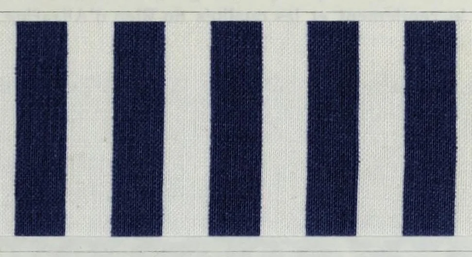 An illustration from Les couleurs pour mordants des Farbenfabriken vorm. Friedr. Bayer & Co., Elberfeld et leur application en impression et en teinture, 1902, leaf 169
