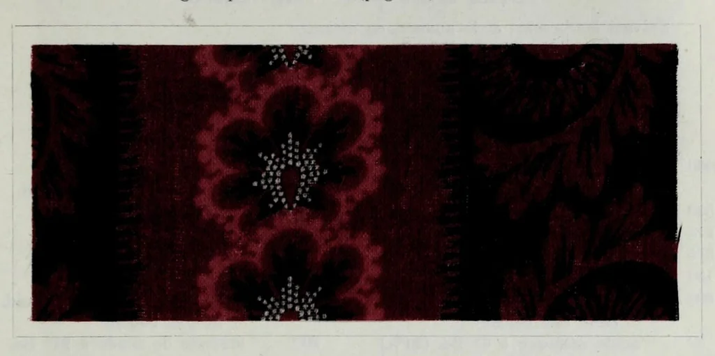 An illustration from Les couleurs pour mordants des Farbenfabriken vorm. Friedr. Bayer & Co., Elberfeld et leur application en impression et en teinture, 1902, leaf 333