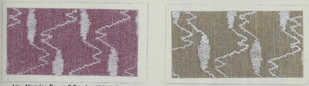 An illustration from Les couleurs pour mordants des Farbenfabriken vorm. Friedr. Bayer & Co., Elberfeld et leur application en impression et en teinture, 1902, leaf 405