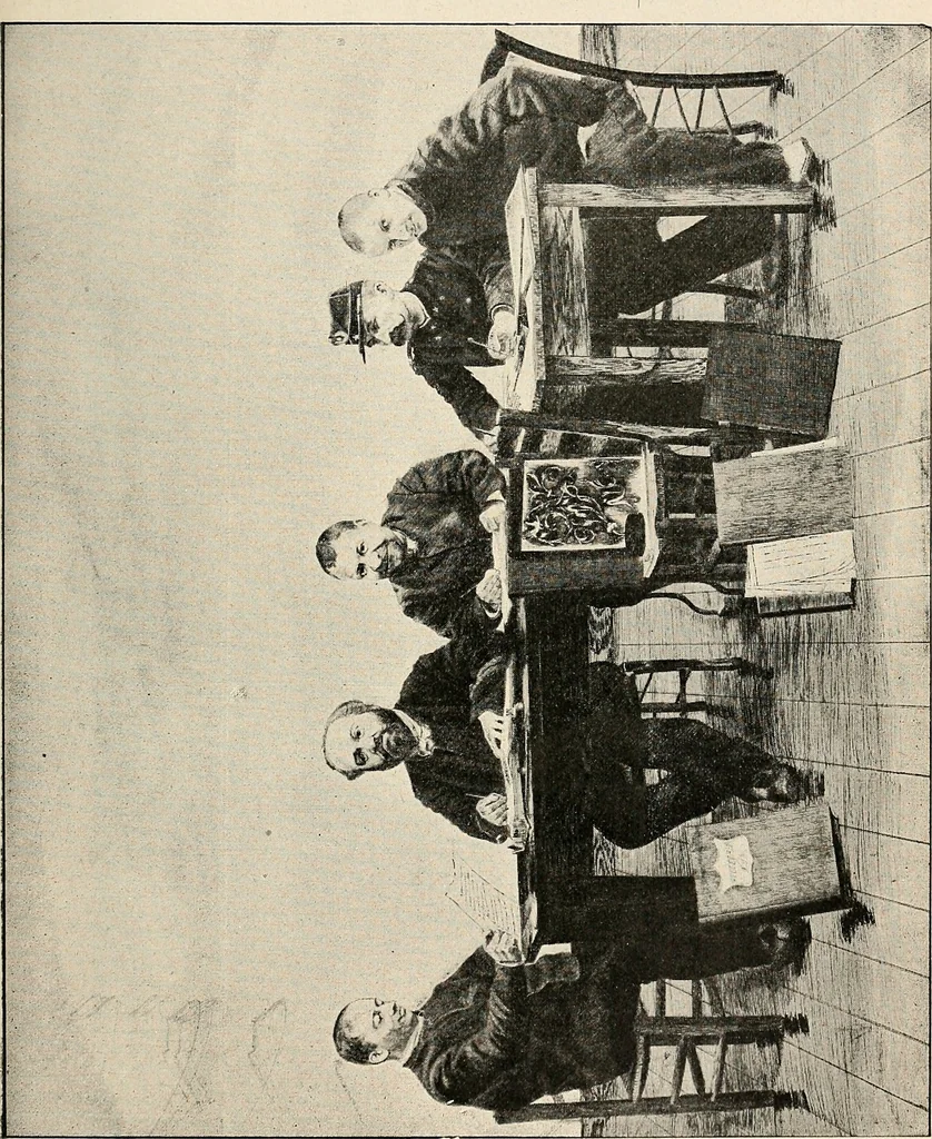 An illustration from Les criminels : étude concernant 859 condamnés, 1900, leaf 406