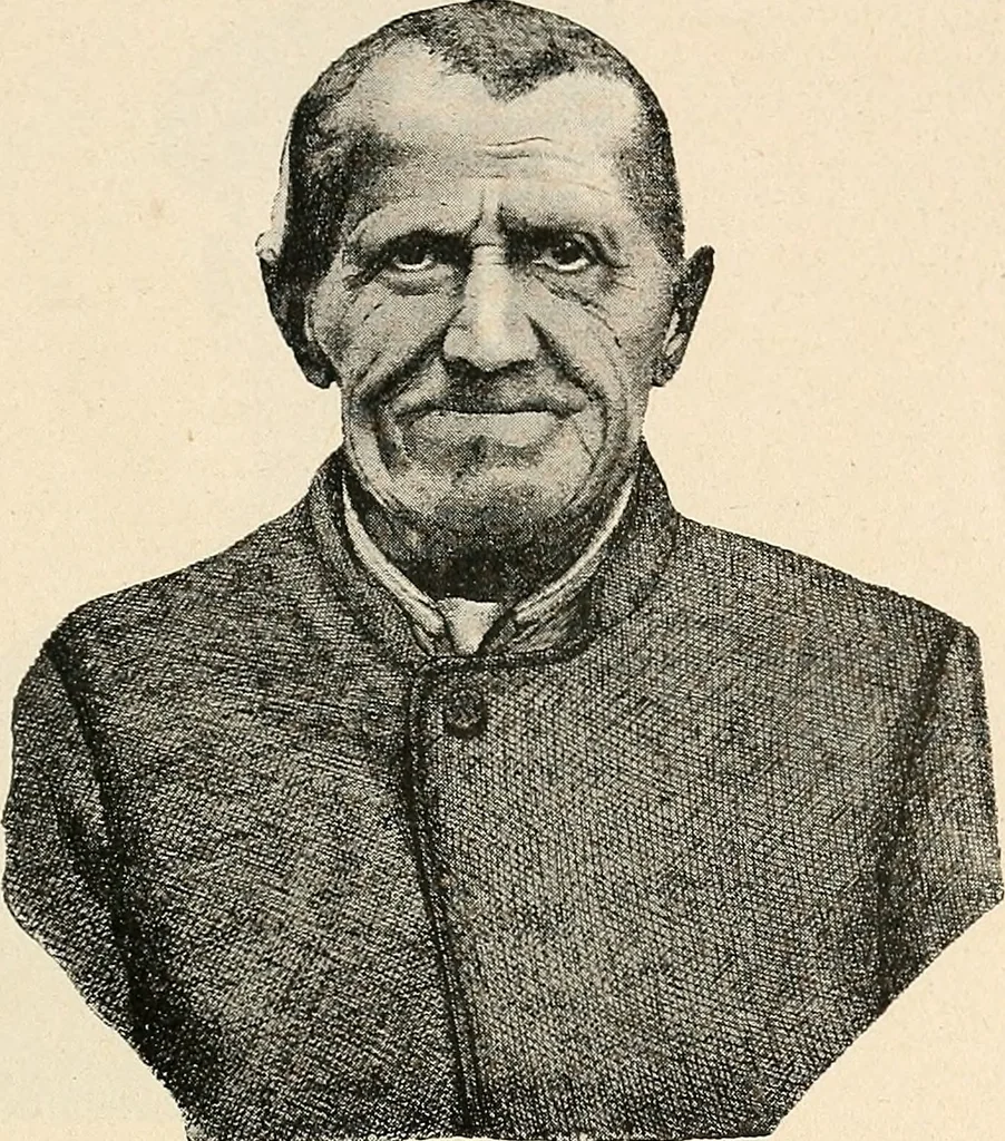 An illustration from Les criminels : étude concernant 859 condamnés, 1900, leaf 446