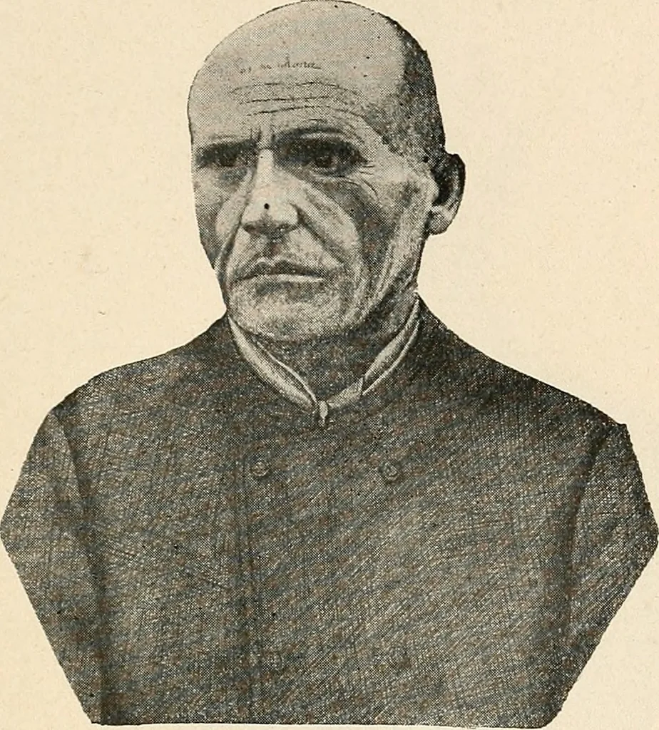 An illustration from Les criminels : étude concernant 859 condamnés, 1900, leaf 454