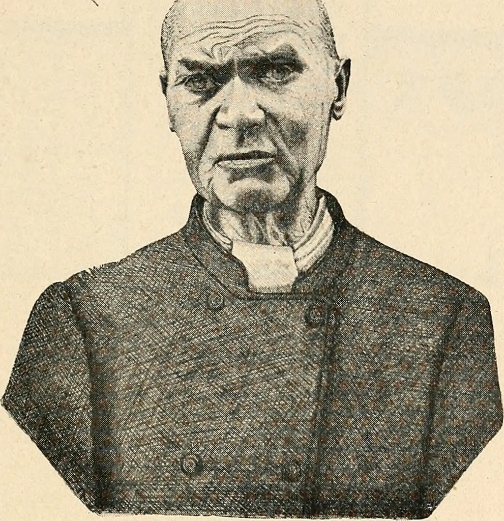 An illustration from Les criminels : étude concernant 859 condamnés, 1900, leaf 456