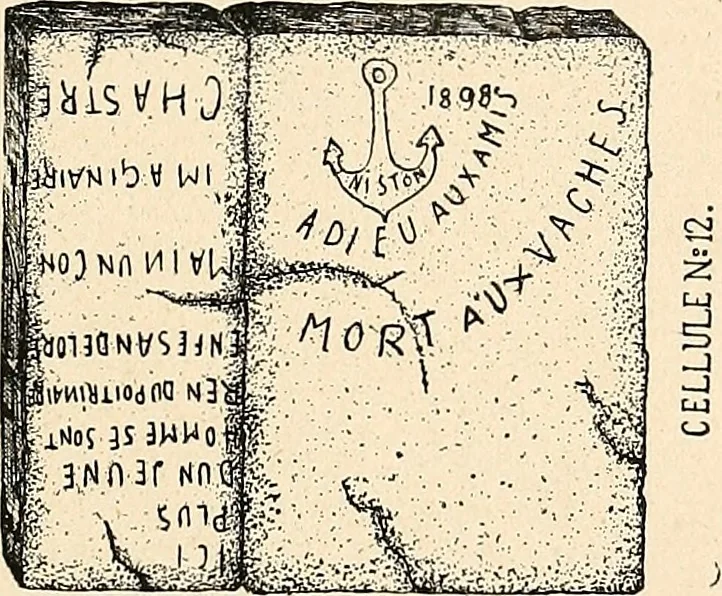 An illustration from Les criminels : étude concernant 859 condamnés, 1900, leaf 460