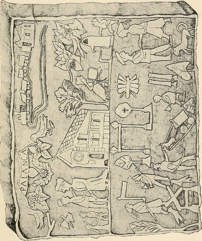 An illustration from Les criminels : étude concernant 859 condamnés, 1900, leaf 466