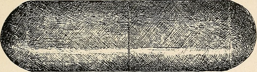 An illustration from Les criminels : étude concernant 859 condamnés, 1900, leaf 486