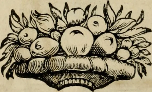 An illustration from L'escuyer françois : qui enseigne a monter a cheval et a voltiger par une methode toute particuliere, 1679, leaf 33