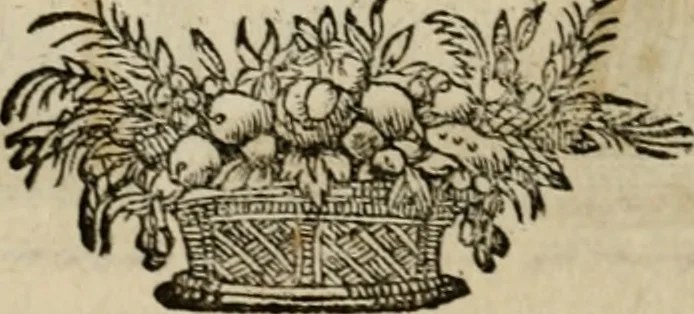 An illustration from L'escuyer françois : qui enseigne a monter a cheval et a voltiger par une methode toute particuliere, 1679, leaf 39
